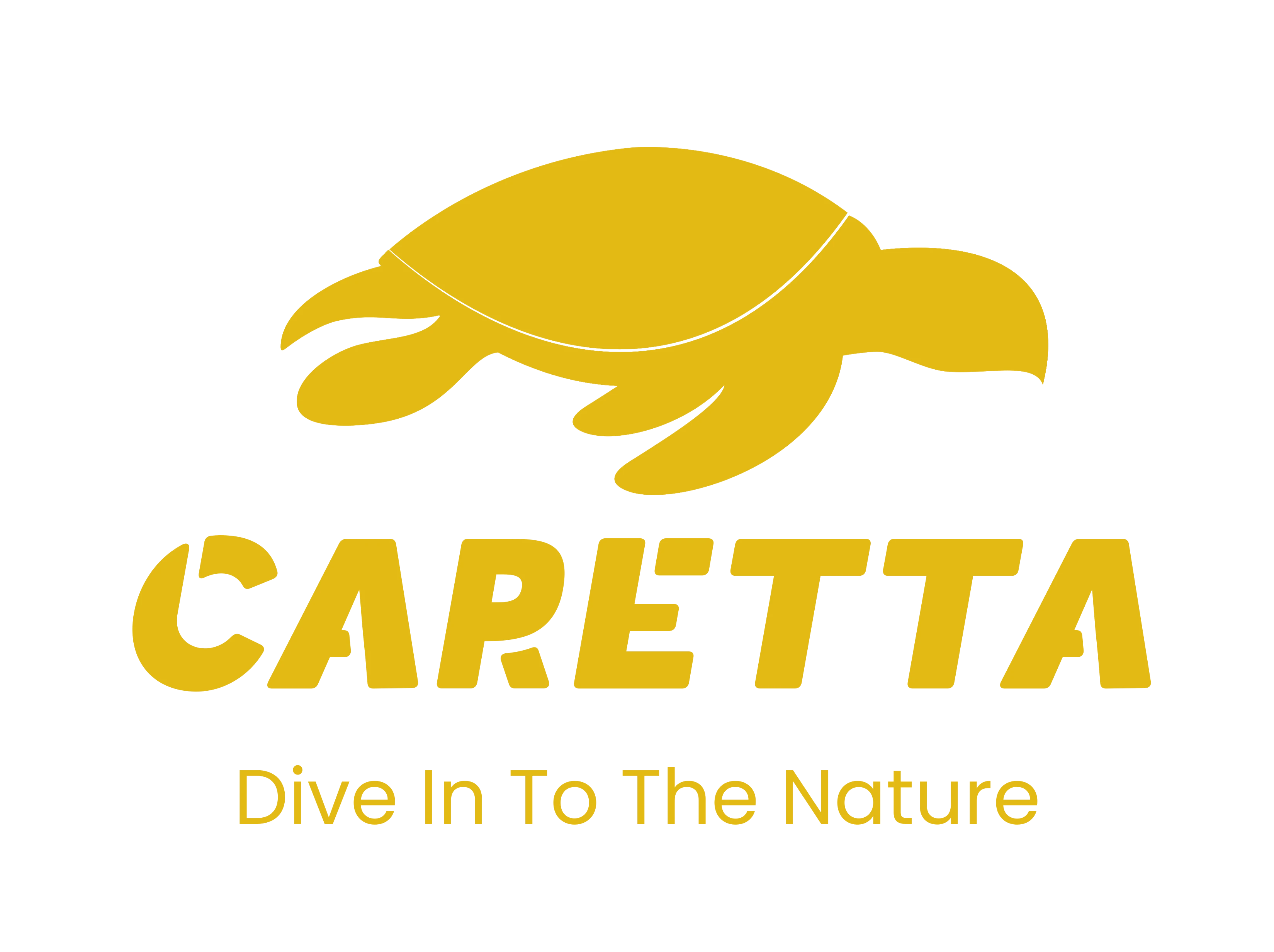 Caretta Fishing